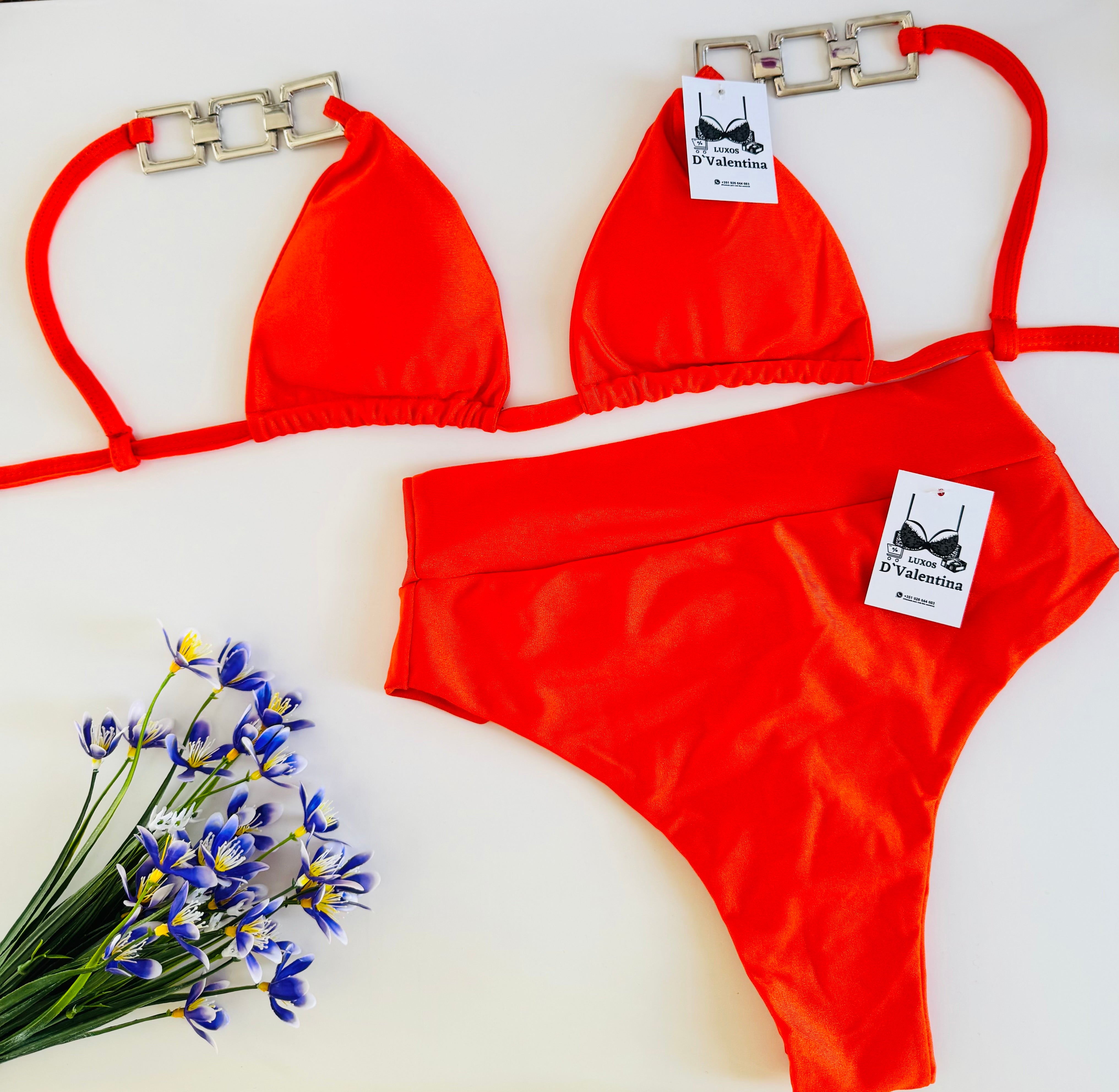 🇧🇷Novidade🌹Biquíni Anita